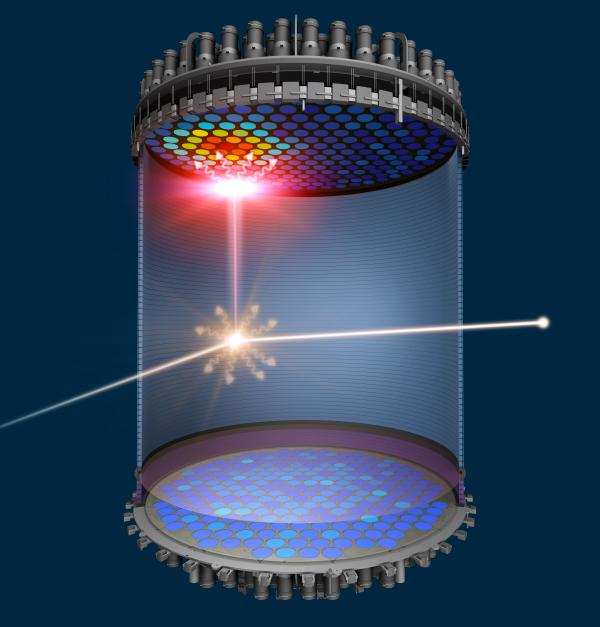 The LZ detector will search for WIMPs.