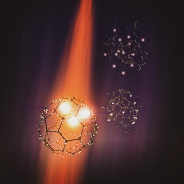 Probing Molecular Dynamics in Real Time from Within with Free Electron Lasers.