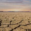 Cracked, dry earth landscape.