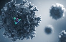 Covid-19 virus under a microscope